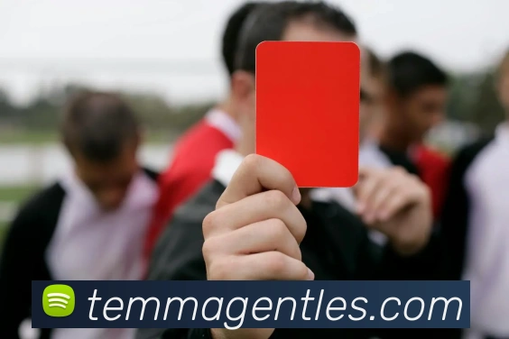 APP界面展示